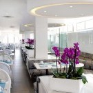 Palm Beach Hotel