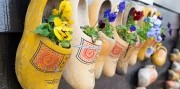 5-denní zájezd do Nizozemska s návštěvou květinové výstavy