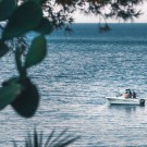 Oasis Bungalows Hotel 