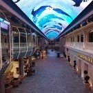 Loď MSC Grandiosa