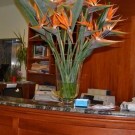 Citti Hotel 