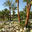 Palm Beach Hotel