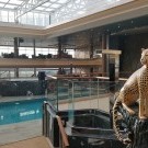 Loď MSC Grandiosa