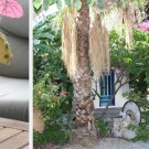 Oasis Bungalows Hotel 