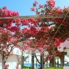 Blue Horizon Hotel