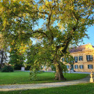 Palais Kneissl