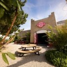 Carlton Oasis 4****