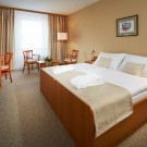 Spa Hotel Děvín 4****