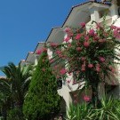 Letsos Hotel 