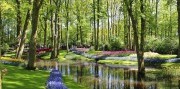 3-denní zájezd do Nizozemska s návštěvou květinové výstavy-1