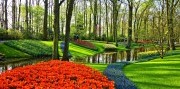 3-denní zájezd do Nizozemska s návštěvou květinové výstavy-1