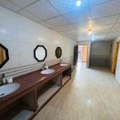 Orchid hotel & Petra Karam & Golden lotus & Magic nature camp