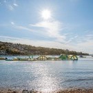 Maslinica Resort - Hotely Narcis/Hedera/Mimosa/Lido Palace 4****