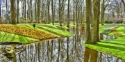 5-denní zájezd do Nizozemska s návštěvou květinové výstavy