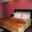 Erebuni, Jerevan Hotel