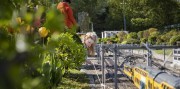 Zábavní park Madurodam, Haag a pláž