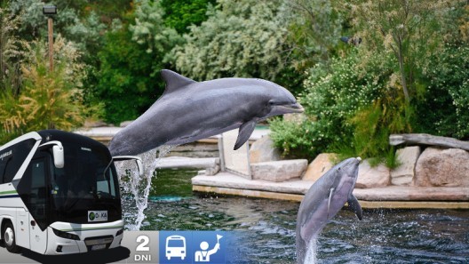Show delfínů a ZOO v Norimberku