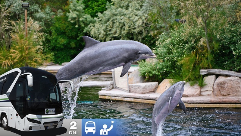 Show delfínů a ZOO v Norimberku