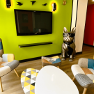 Hotel Urban Style Mouans Sartoux